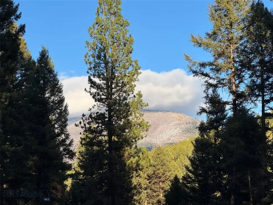 Address Withheld By Seller, Seeley Lake, MT 59868 - #3