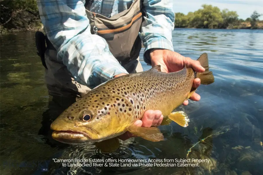 Lot 4 Rocking Horse Drive, Bozeman, MT 59718 - #3