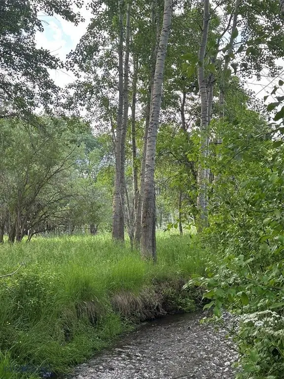 TBD Spring Creek Drive, Bozeman, MT 59715 - #3