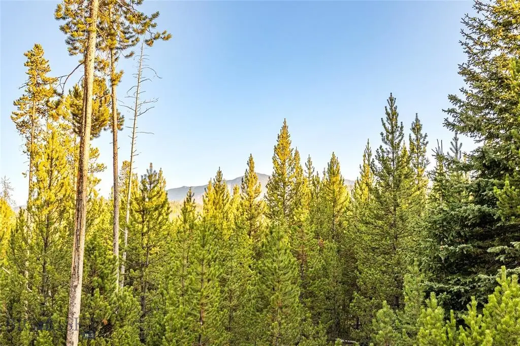 TBD Lot #10 Herring Flats Road, Anaconda Deer Lodge County, MT 59701 - #1