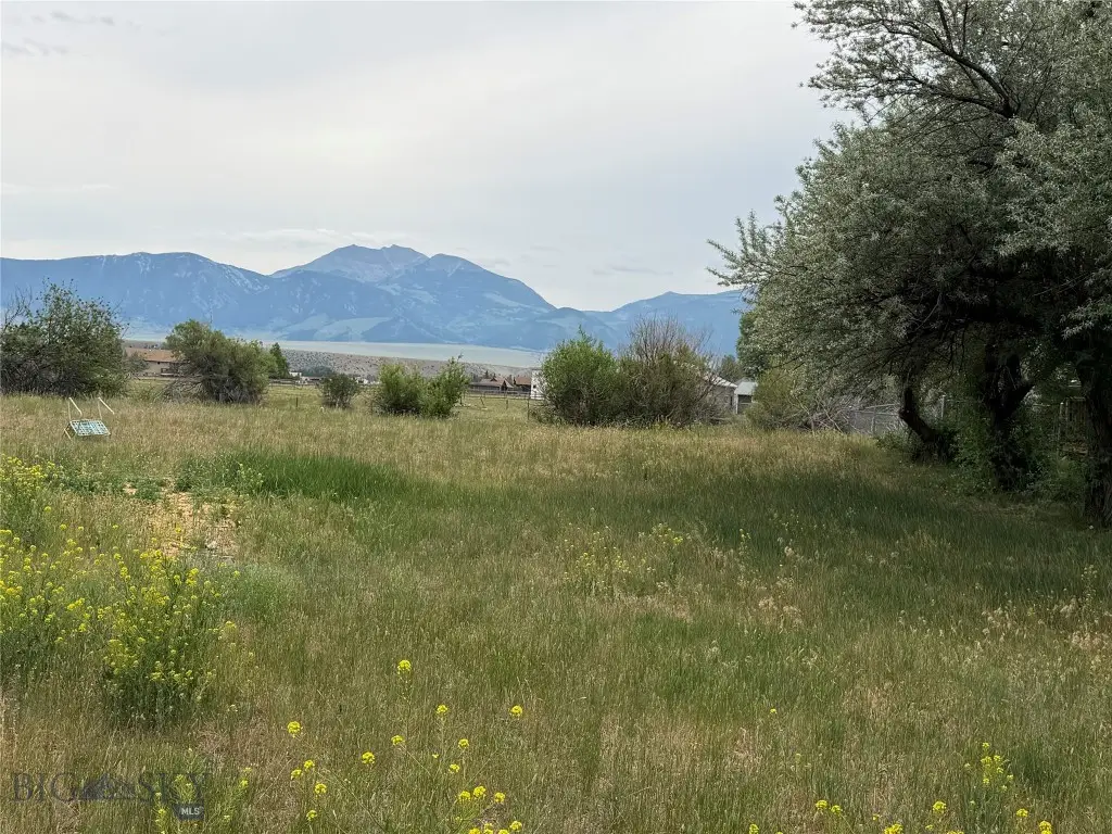 TBD Moores Creek Court, Ennis, MT 59729 - #1