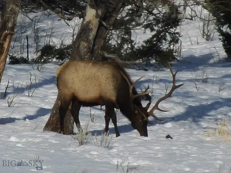 900 Flint Creek Road, Butte Silver Bow Northwest, MT 59748 - #2