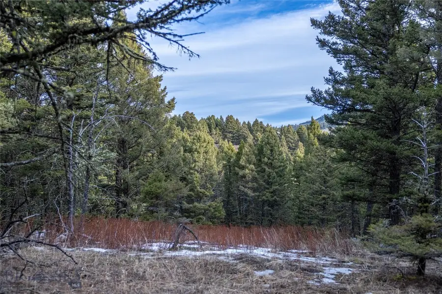 TBD Sunflower Lane Lot 4 Lane, Bozeman, MT 59718 - #3