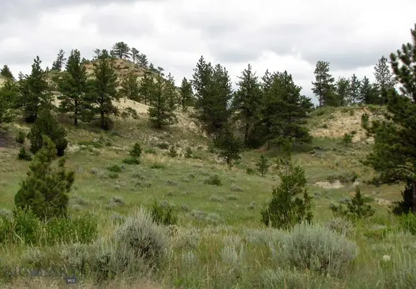 3808 Moon Creek Road, Miles City, MT 59301