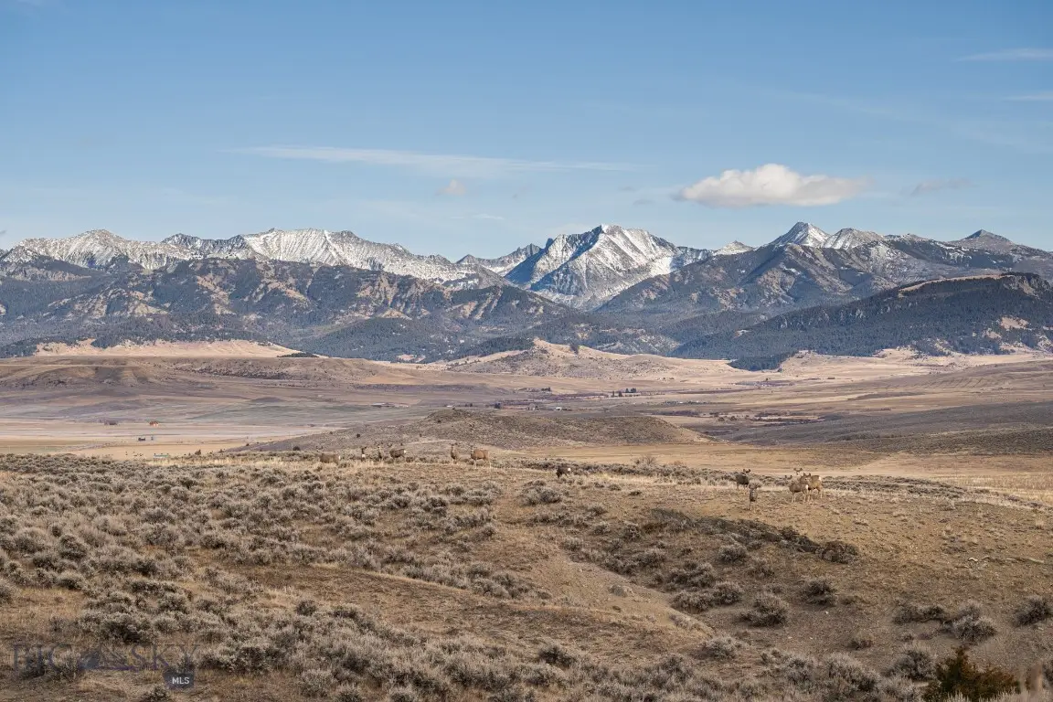 60 Shy Rd, Wilsall, MT 59086 - #1