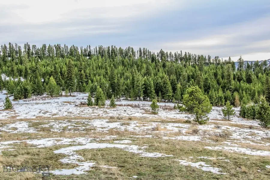 Address Withheld By Seller, Bozeman, MT 59715 - #3