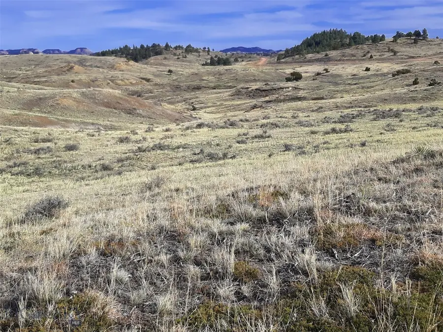 0 Davis Road, Miles City, MT 59301 - #2