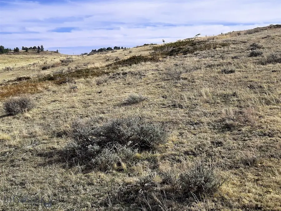 0 Davis Road, Miles City, MT 59301 - #3