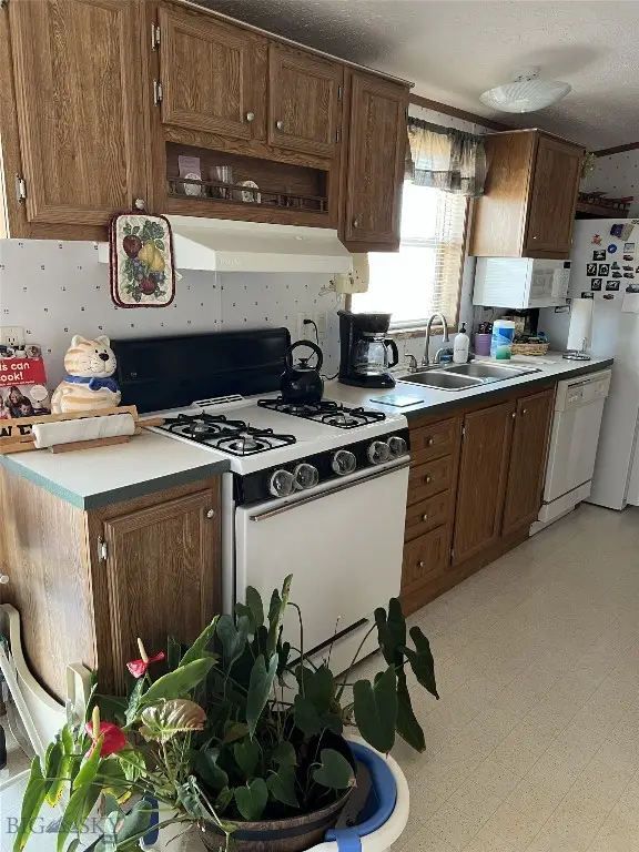 209 Taylor Drive, Dillon, MT 59725 - #3