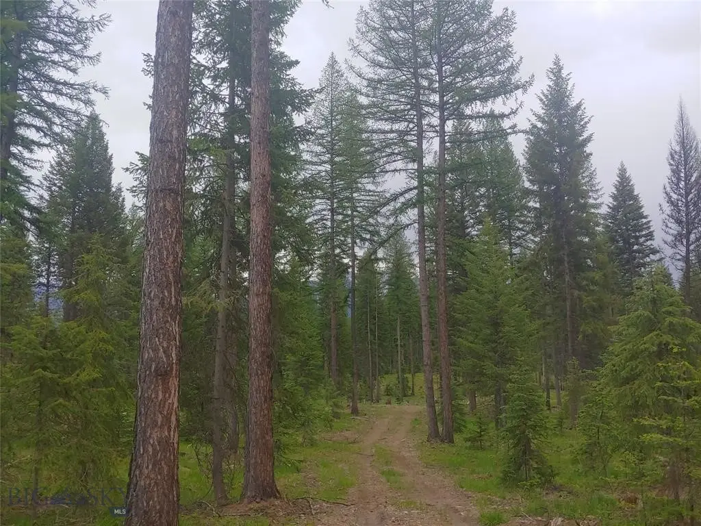 Address Withheld By Seller, Condon, MT 59826 - #1