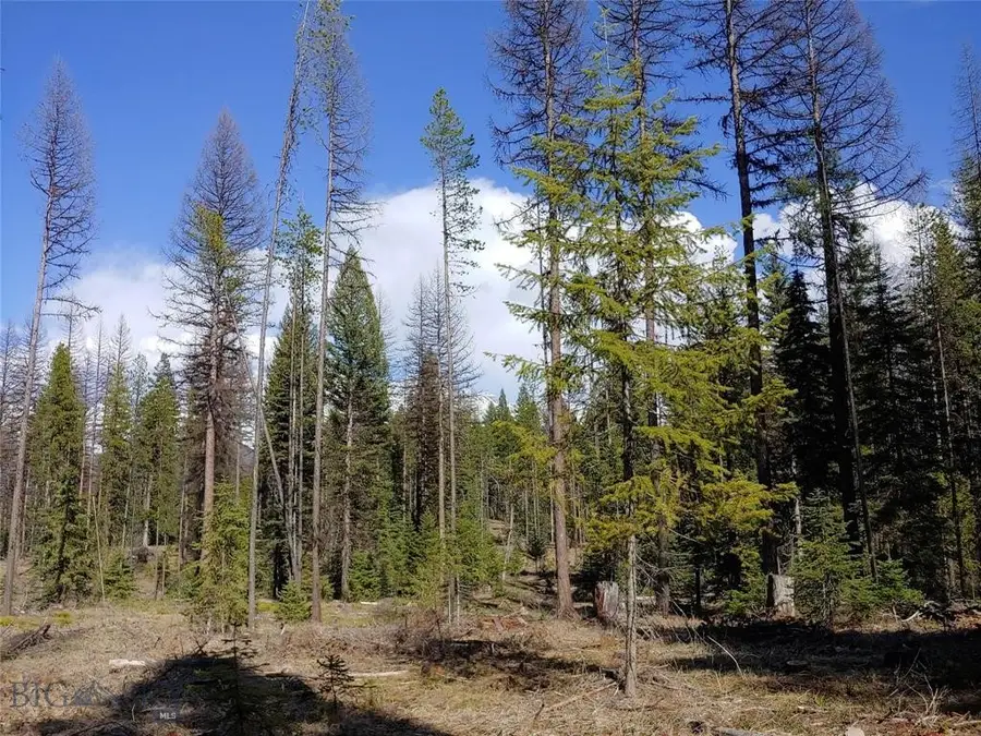 Address Withheld By Seller, Condon, MT 59826 - #2