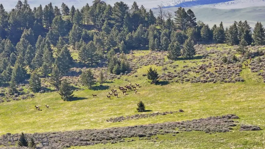 72 Sky Band Trail, Livingston, MT 59047 - #3