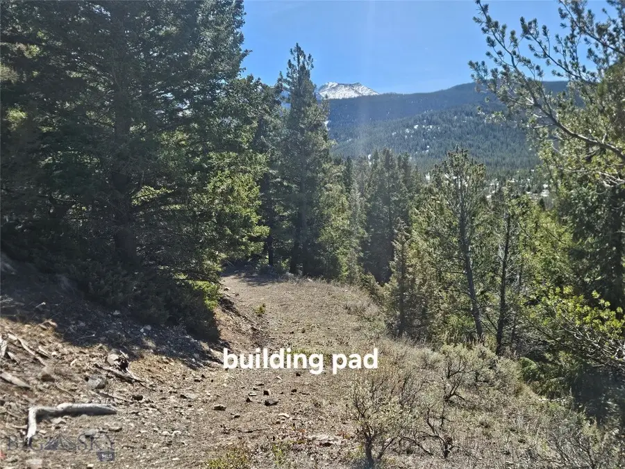 Tract J Shoot The Moon Lane, Georgetown Lake, MT 59711 - #3
