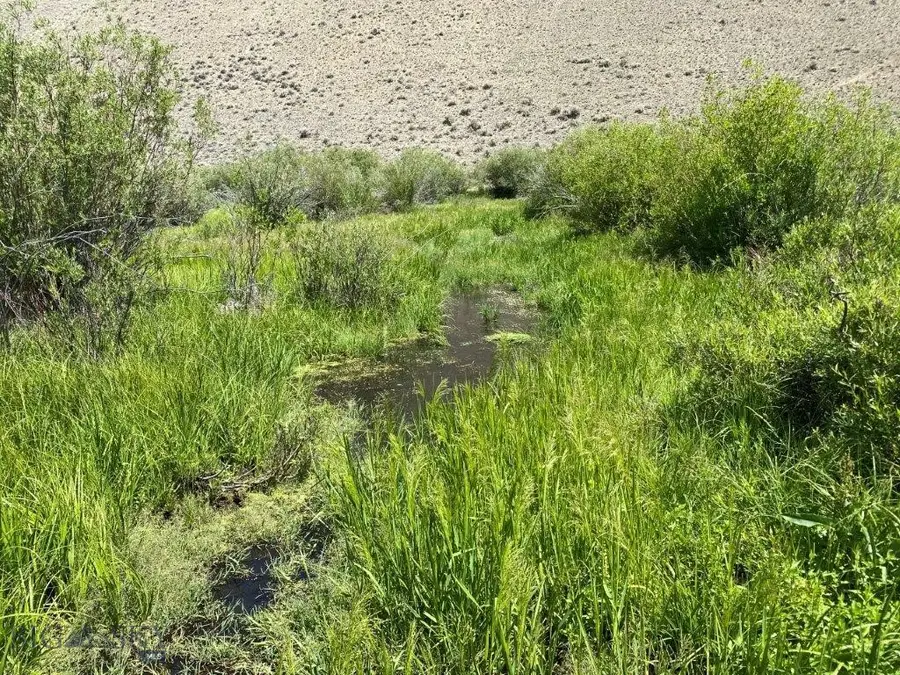 TBD Camp Creek Road, Butte, MT 59701 - #2