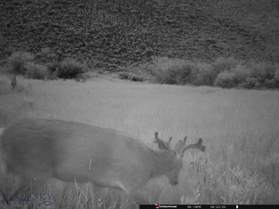 TBD Camp Creek Road, Butte, MT 59701 - #3