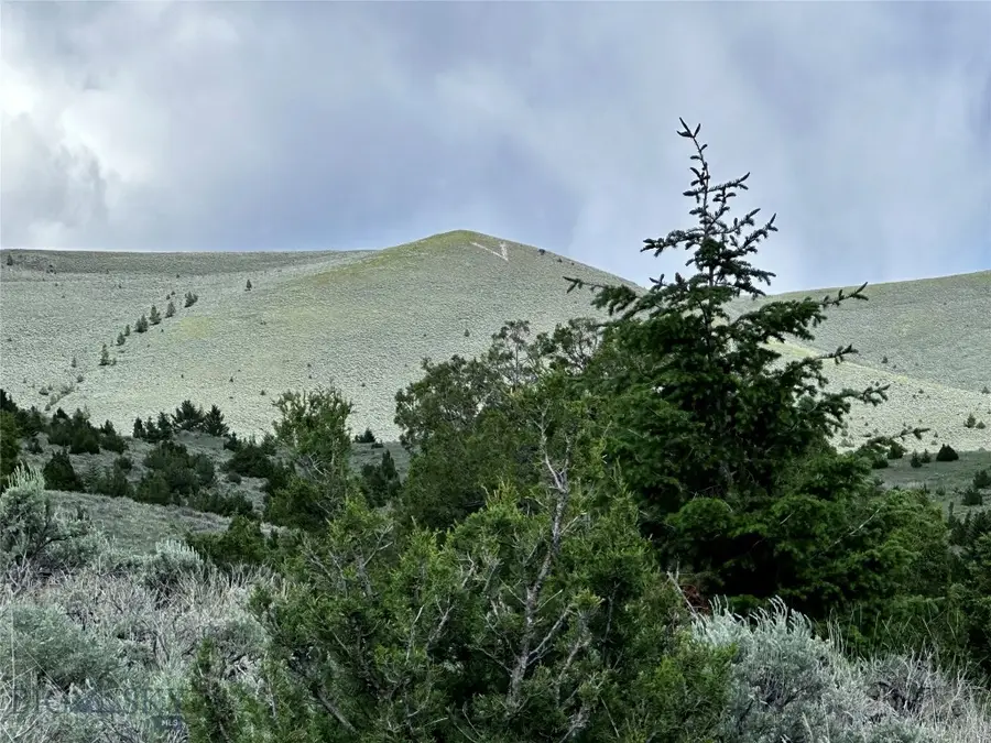 199 LOTS Multiple Locations Within Vc City Limits, Virginia City, MT 59755 - #2