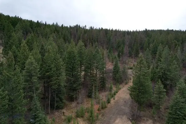 NHN Bent Pine Lane, Kila, MT 59920 - #3
