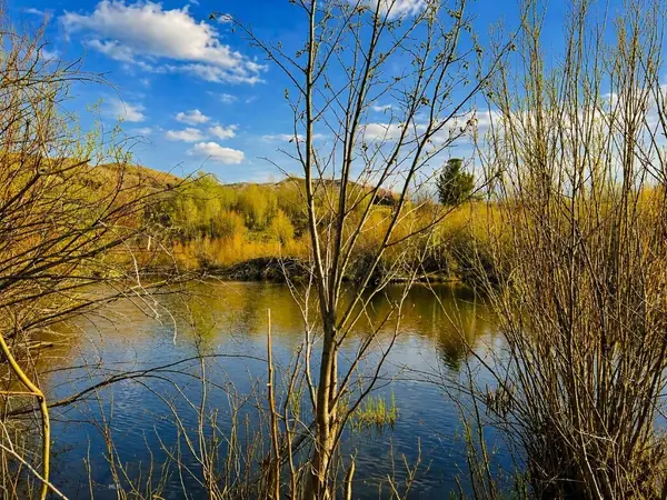 TBD Clear Creek Trail, Anaconda, MT 59711