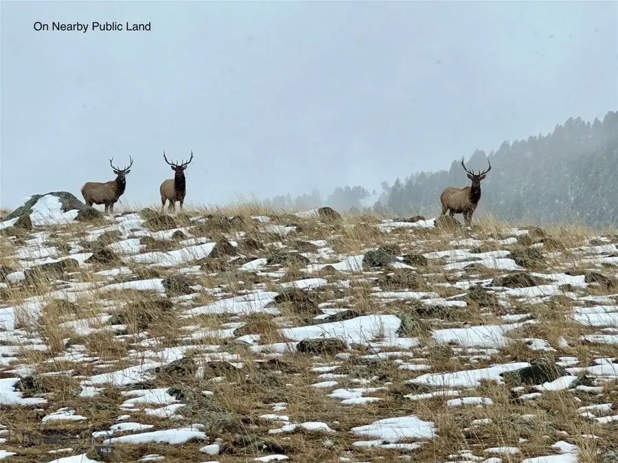 NHN Quintana Lane, Boulder, MT 59632 - #3