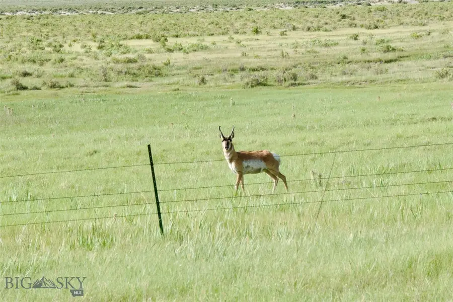 TBD South Valley Road, Dell, MT 59724 - #2