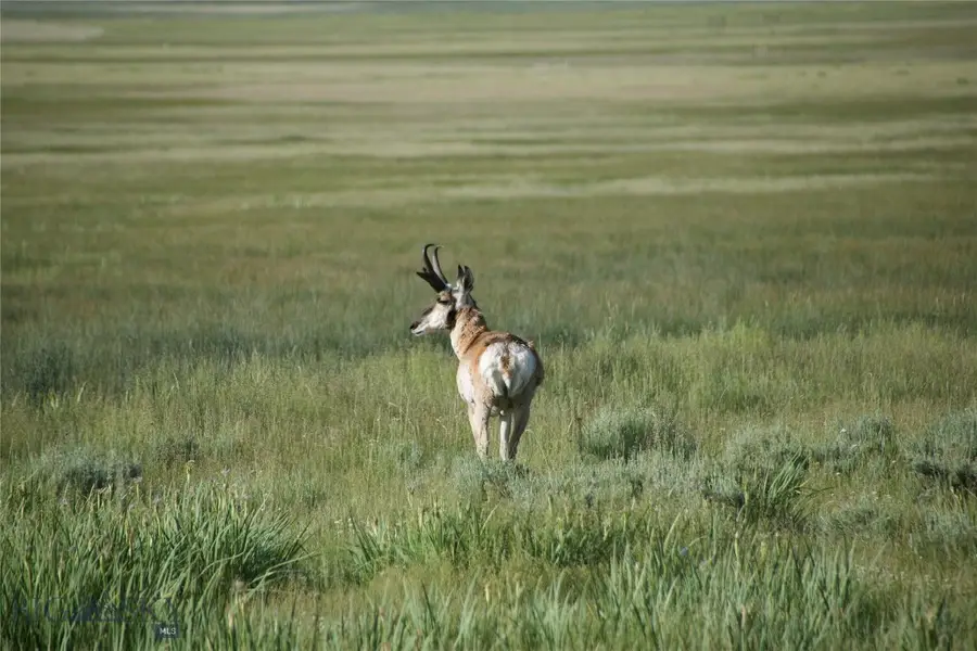 TBD South Valley Road, Dell, MT 59724 - #3