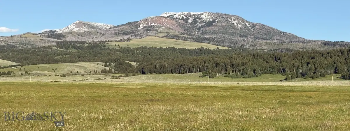 TBD South Valley Road, Dell, MT 59724 - #1
