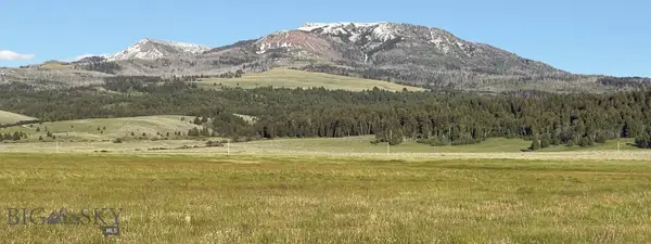 TBD South Valley Road, Dell, MT 59724