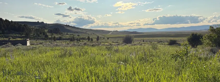 TBD South Valley Road, Dell, MT 59724 - #2