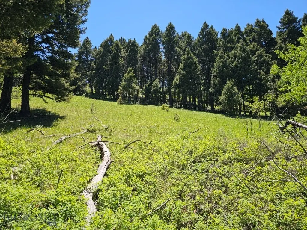 TBD Corbin Road, Jefferson City, MT 59638 - #1