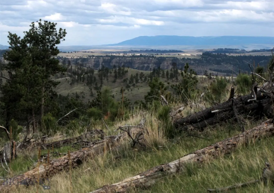 tbd Wild Turkey Ridge Road, Columbus, MT 59019 - #1