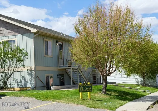 45 Tobacco Root Road, Dillon, MT 59725