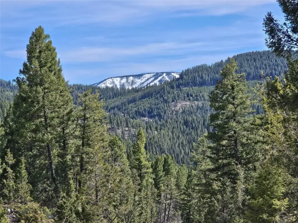 NHN Boarding House Flats, Philipsburg, MT 59858 - #1