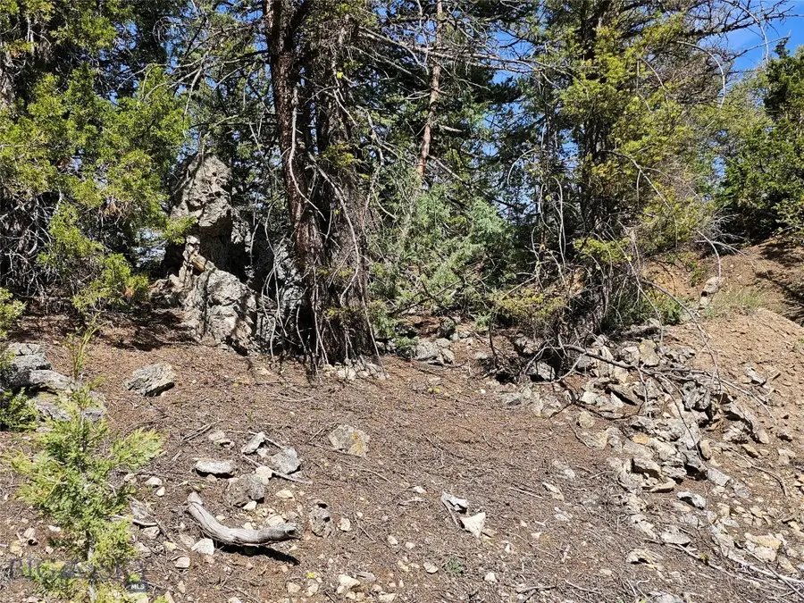 NHN Boarding House Flats, Philipsburg, MT 59858 - #3