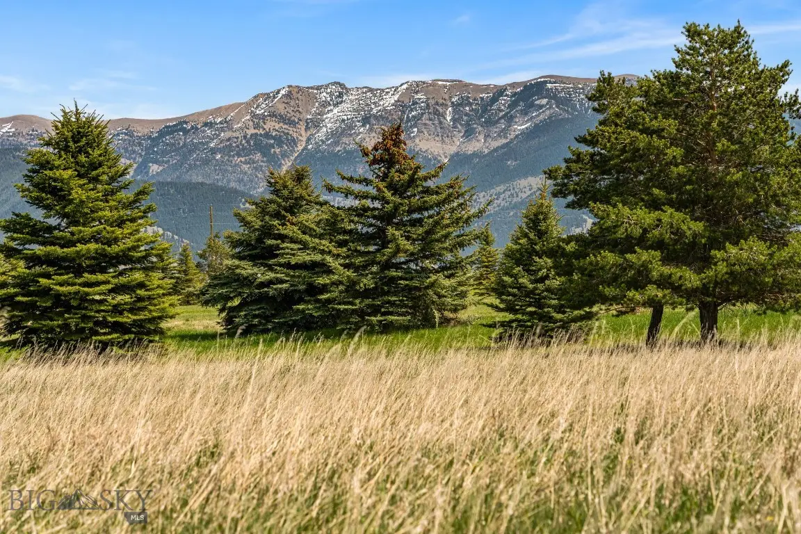 TBD Wavy Leaf Way, Bozeman, MT 59718 - #1