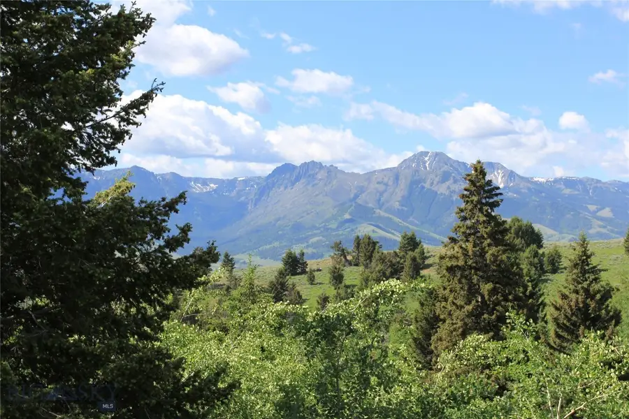 524 Grizzly Meadow Road, Emigrant, MT 59027 - #3