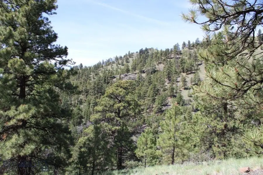 6 Pine Coulee, Cascade, MT 59421 - #2