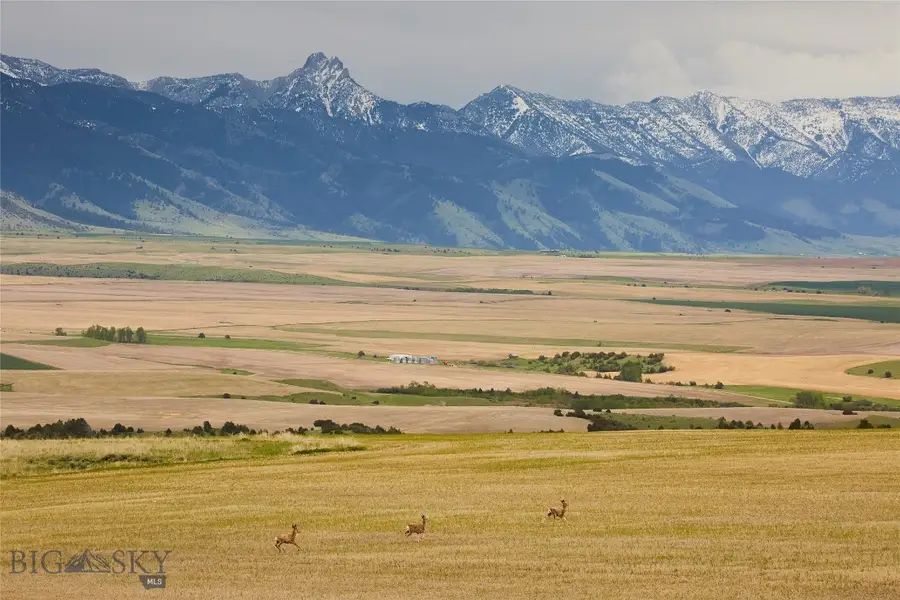 TBD Skinner Road, Belgrade, MT 59714 - #3