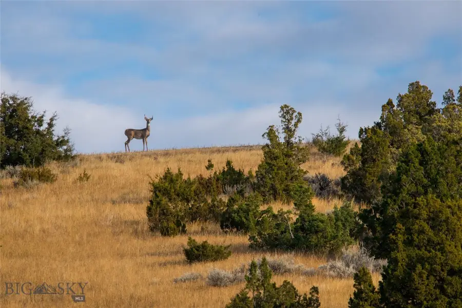 TBD Skinner Road, Belgrade, MT 59714 - #3