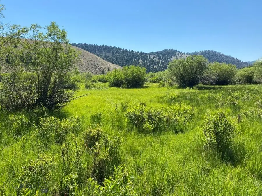TBD Camp Creek Road, Melrose, MT 59743 - #2