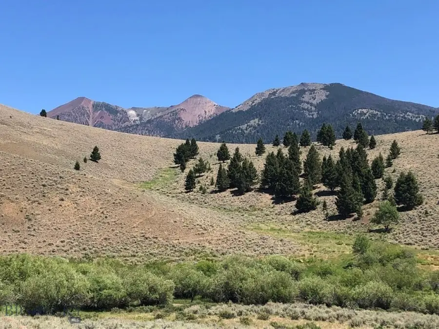 TBD Camp Creek Road, Melrose, MT 59743 - #3