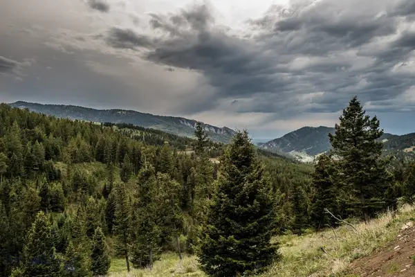 TBD Woodchuck Road, Bozeman, MT 59715