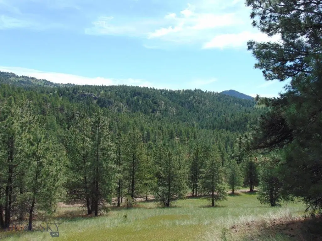 19 Lookout Lane, Cascade, MT 59421 - #1