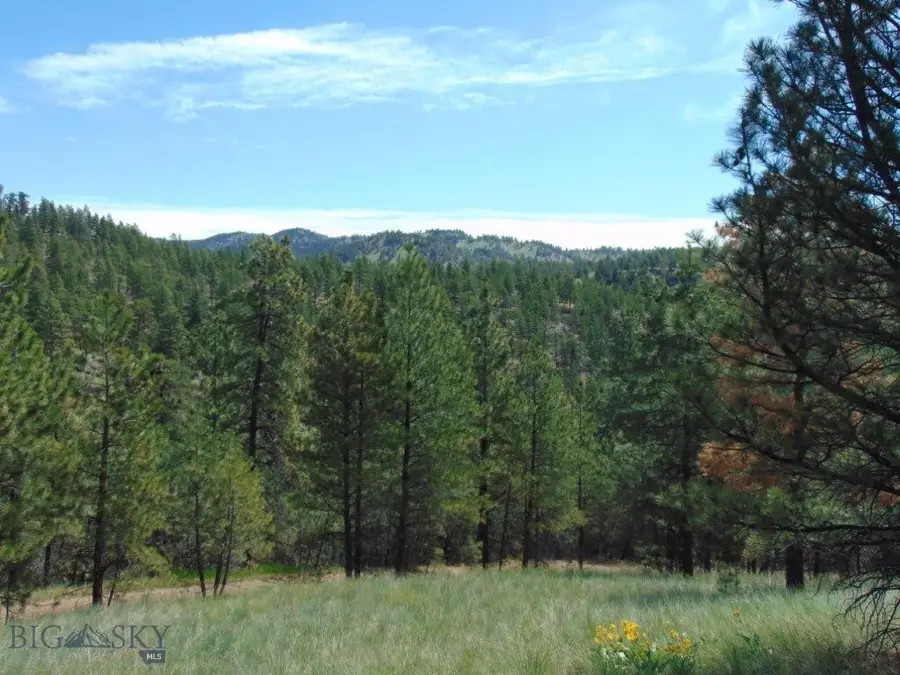 19 Lookout Lane, Cascade, MT 59421 - #2