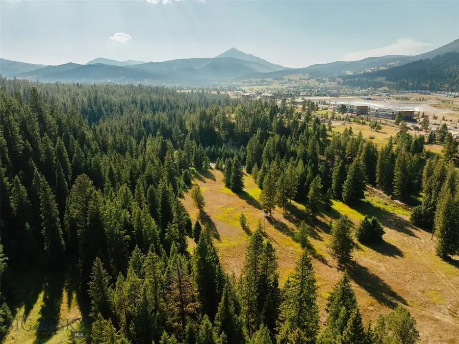 252 Vogel Road, Big Sky, MT 59716 - #3