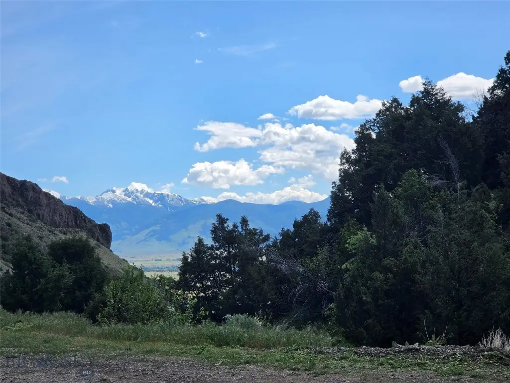 27 Leo, Emigrant, MT 59027 - #1