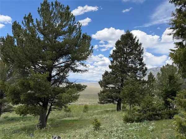 Parcel 2 & 4A Continental Divide Rd, Cameron, MT 59720