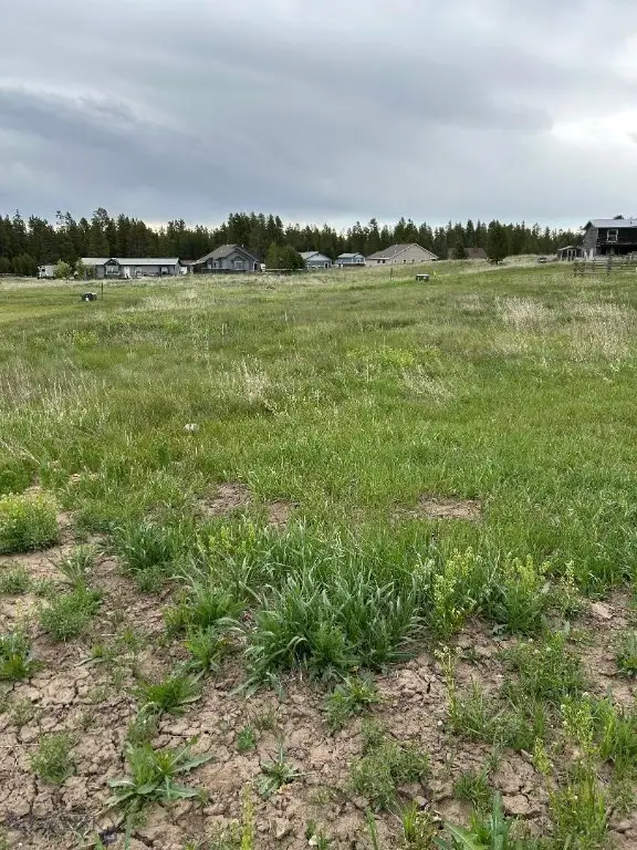 TBD Buffalo Drive, West Yellowstone, MT 59758 - #3