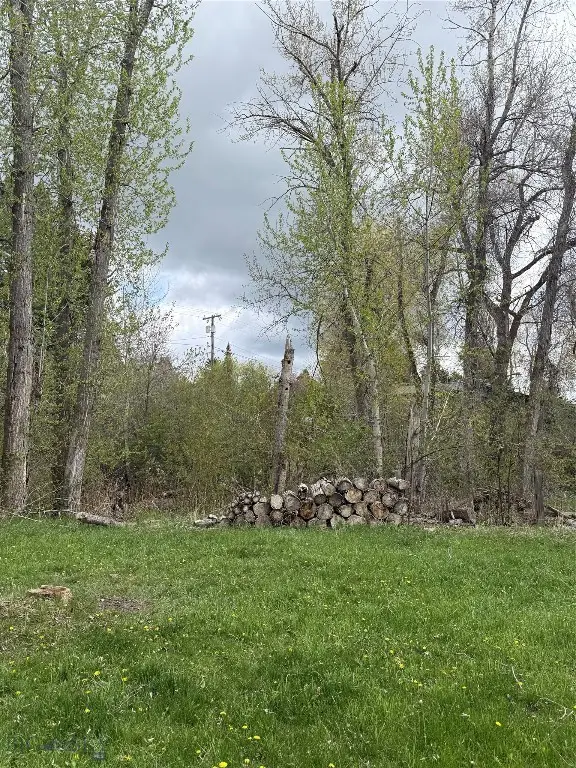 1-2 Sourdough Road, Bozeman, MT 59715 - #3