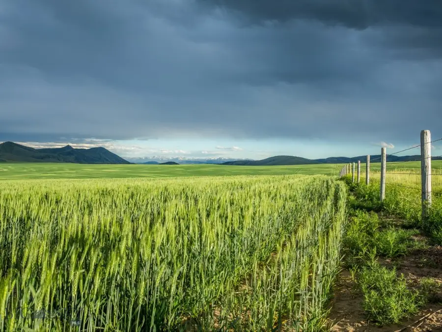 TBD Shoddy Springs Road, Three Forks, MT 59752 - #2