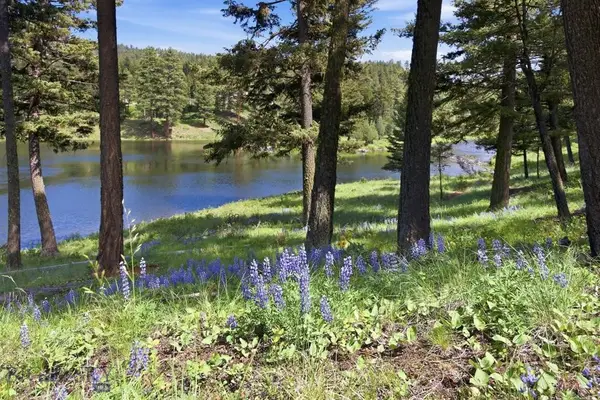 Lot 3 Big Waters Ranch Road, Seeley Lake, MT 59868